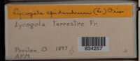 Image Associated With the Occurence